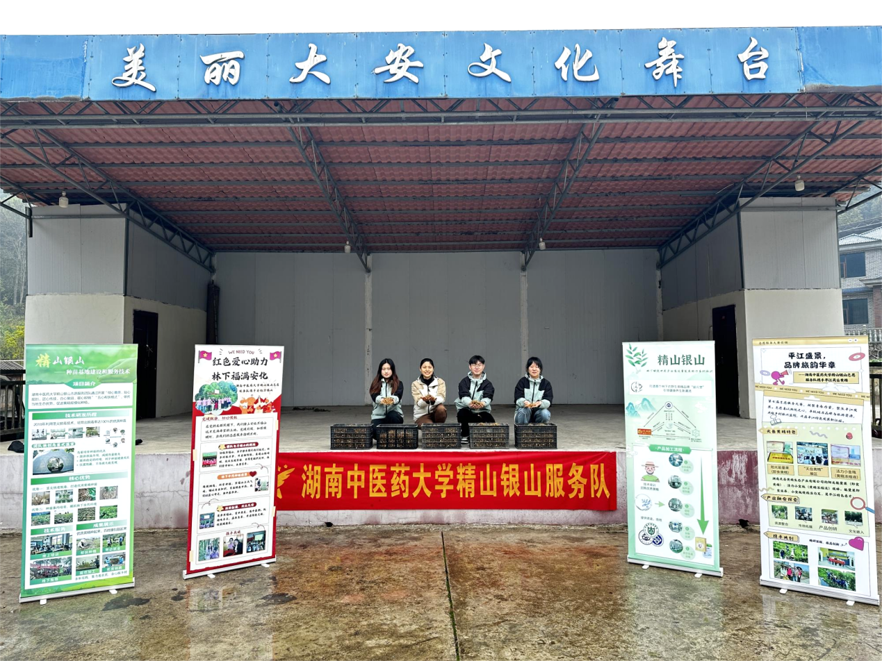 杏林五载新答卷丨三块金牌 映照千年中医的创新传承