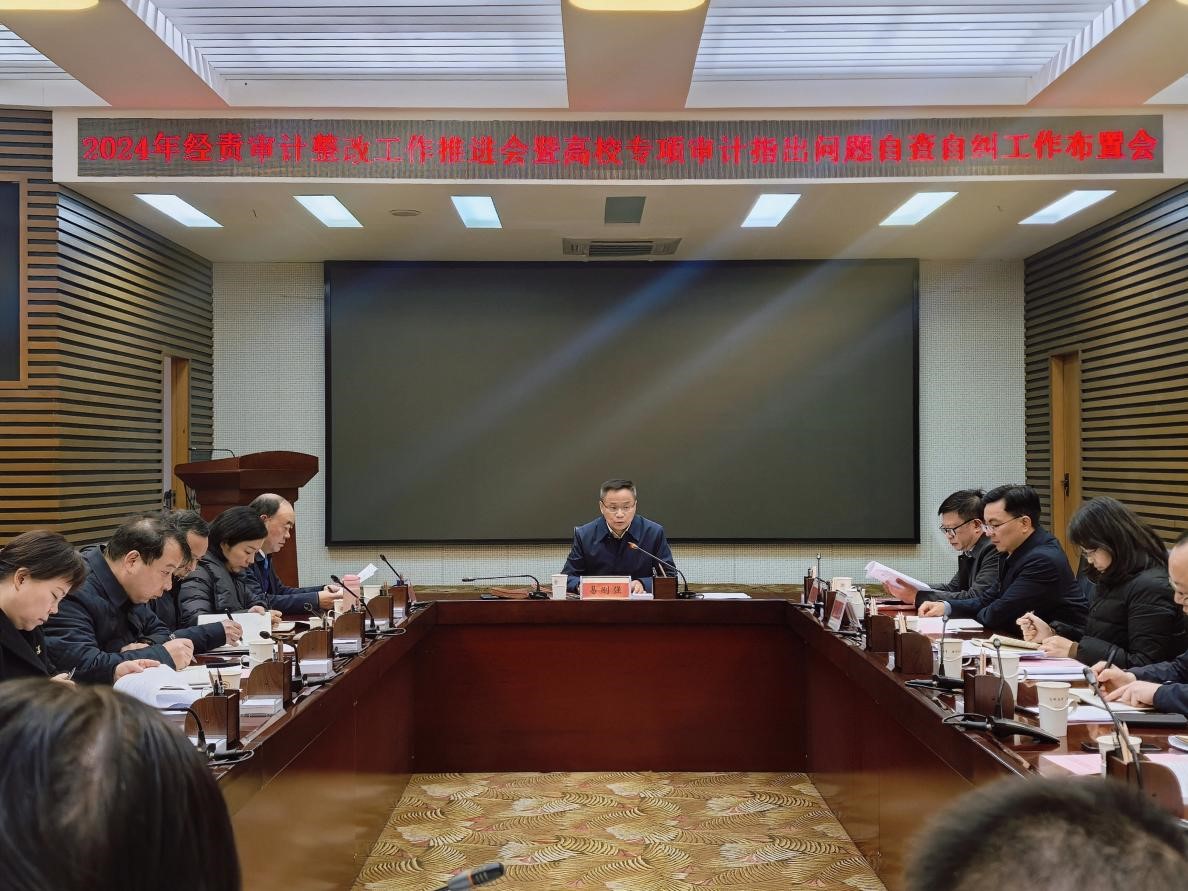 大学经责审计整改工作推进会