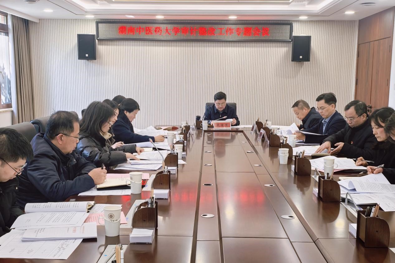 大学审计整改工作专题会议