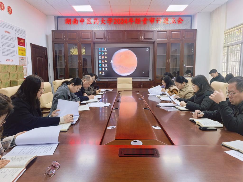 审计处组织召开经济责任审计进点会