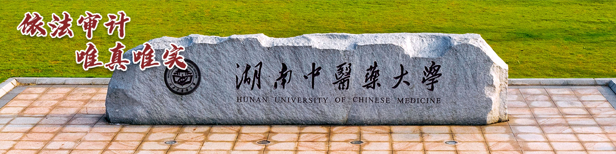 半岛手机版官网登录审计处